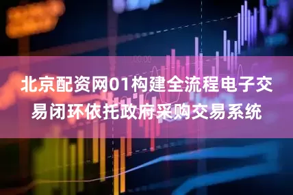 北京配资网01构建全流程电子交易闭环依托政府采购交易系统
