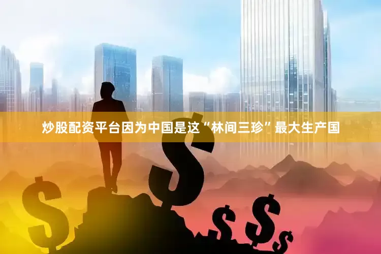 炒股配资平台因为中国是这“林间三珍”最大生产国