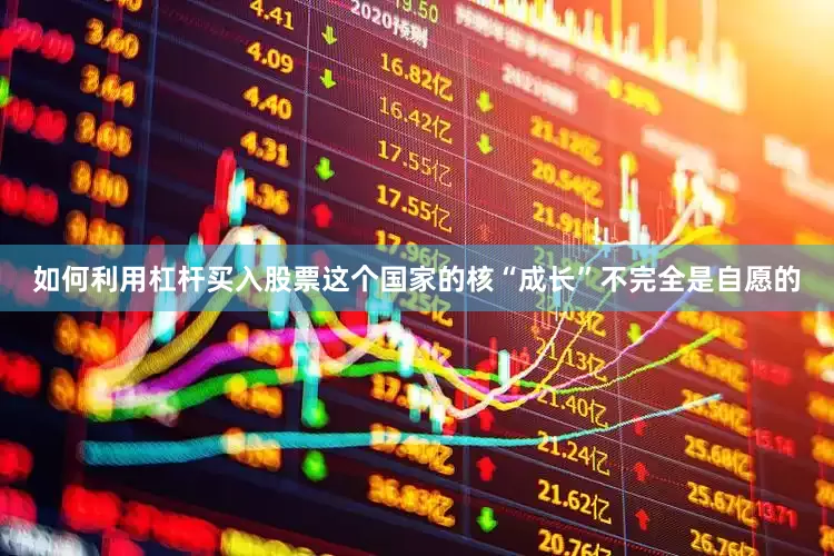 如何利用杠杆买入股票这个国家的核“成长”不完全是自愿的