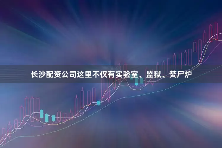 长沙配资公司这里不仅有实验室、监狱、焚尸炉