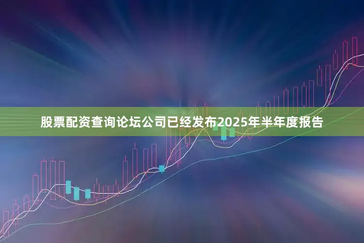 股票配资查询论坛公司已经发布2025年半年度报告