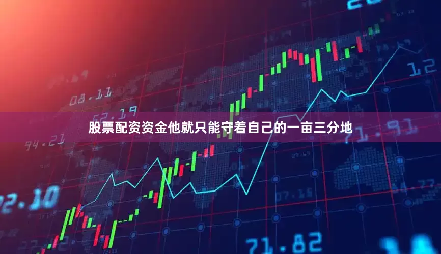 股票配资资金他就只能守着自己的一亩三分地